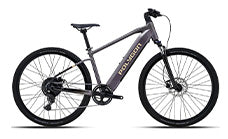 Commuter & Vintage eBikes